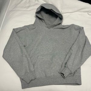 Aritzia Sweatshirt